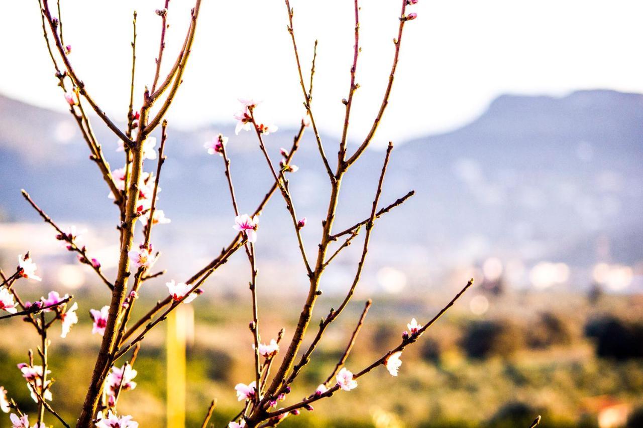 Nafplio Topview Daire Dış mekan fotoğraf